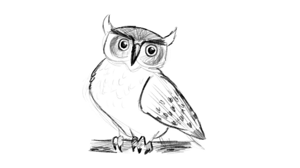 How to add talons to your owl drawing