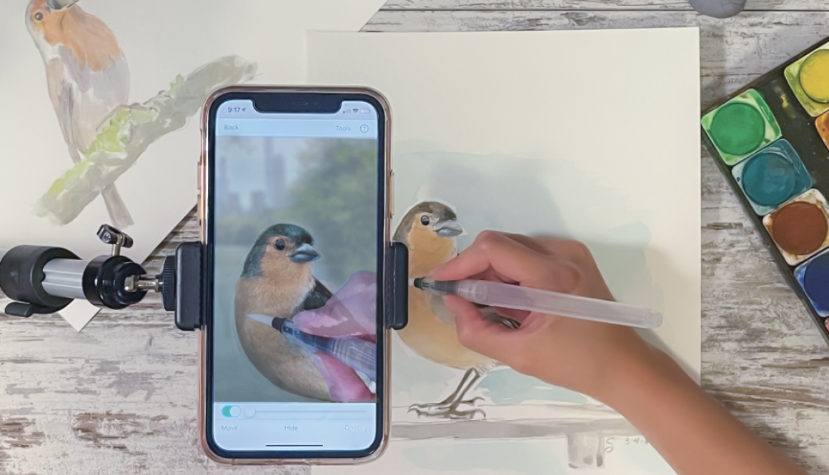 Da Vinci Eye Art Projector App